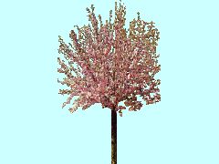 UK2-Mandelbaum_230