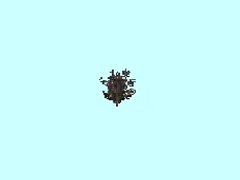 AH1_Winterbusch2_1m