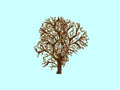 UK2-Apfel-Winter_9m