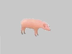 Ferkel-Frieder
