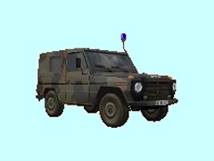 MB250GD_WOLF_FJg_mBL_BH1