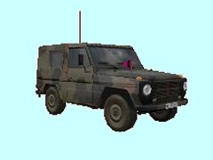 MB250GD_WOLF_PzChef_BH1