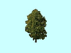 Baum2_18m