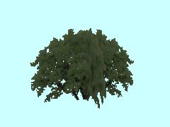 SG1_Busch2_4m