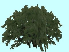 SG1_Busch2_6m