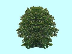 SG1_Busch4_4m