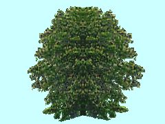 SG1_Busch4_6m