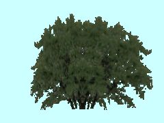 SG1_Busch2_2m