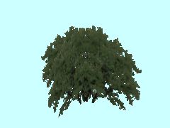 SG1_Busch2_4m