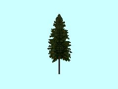 SG1_Fichte1_14m