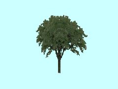 SG1_Obst1_6