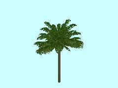 Palme1-22m