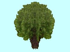 SG1_KOPFWEIDE7